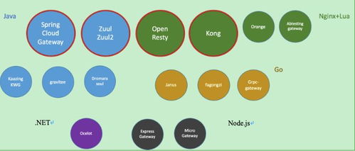 百億流量微服務網關 架構設計與技術實現之路